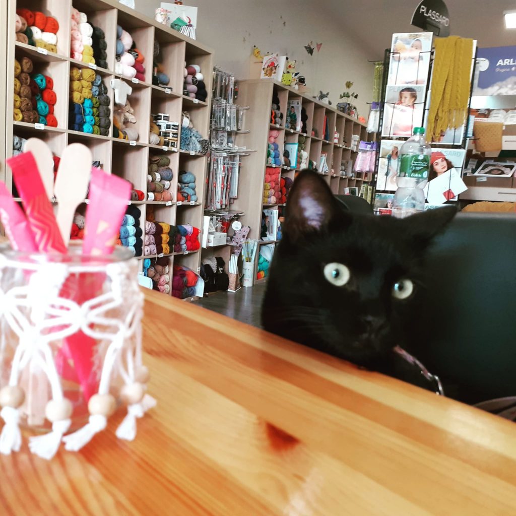 ocomptoirdespassions-pelotesdelaine-chat-mercerie-villemursurtarn